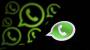WhatsApp: Neues Update bringt Änderungen beim Status | Leben & Wissen | BILD.de